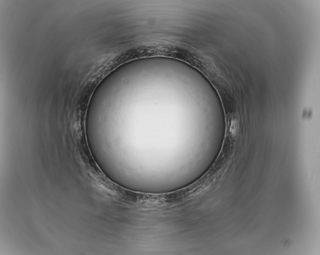 X0000089930771200707201839