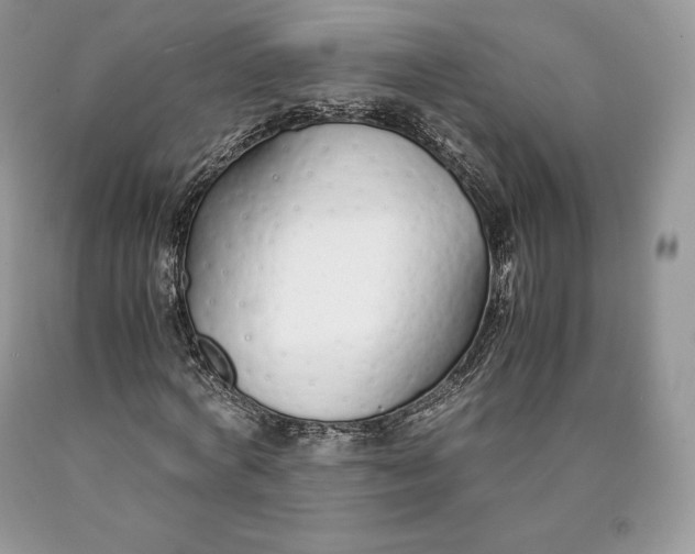 X0000089930772200707201839