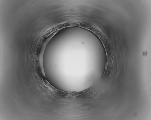 X0000089930773200707201839