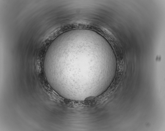 X0000089930774200707201839