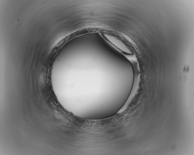 X0000089930775200707201839