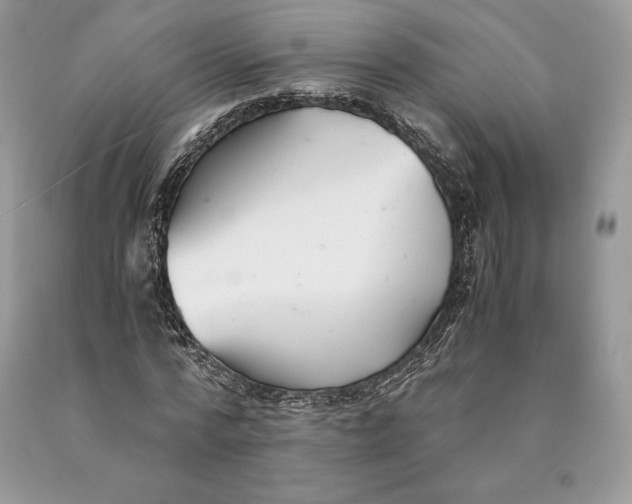 X0000089930776200707201839