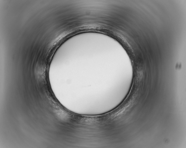 X0000089930778200707201839