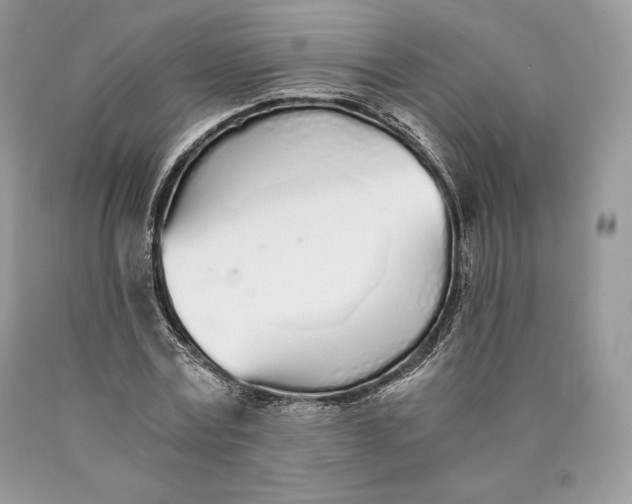 X0000089930779200707201839