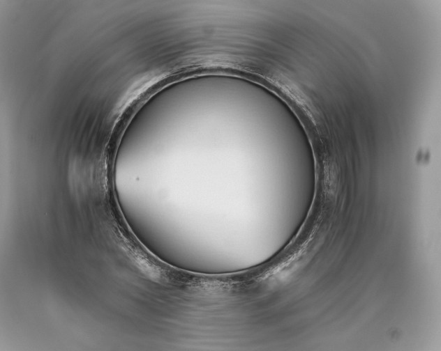 X0000089930782200707201839