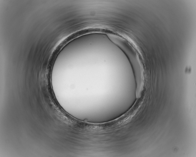 X0000089930783200707201839