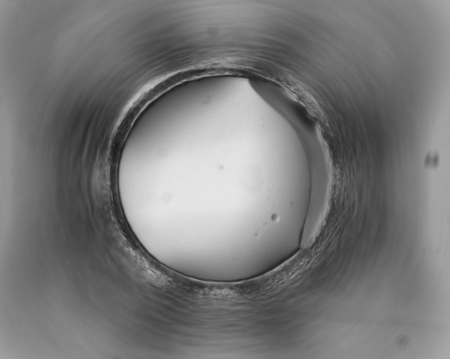 X0000089930784200707201839