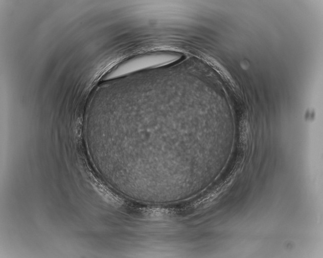 X0000089930785200707201839