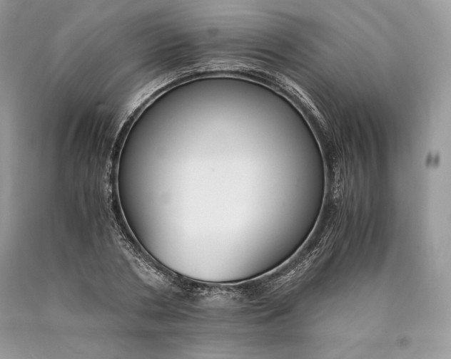 X0000089930786200707201839