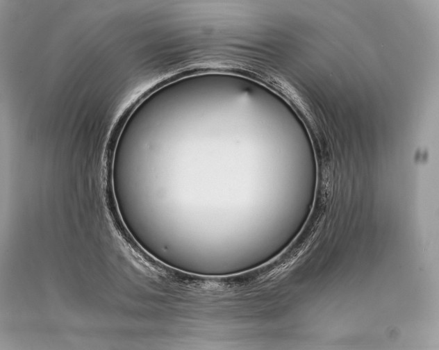 X0000089930787200707201839