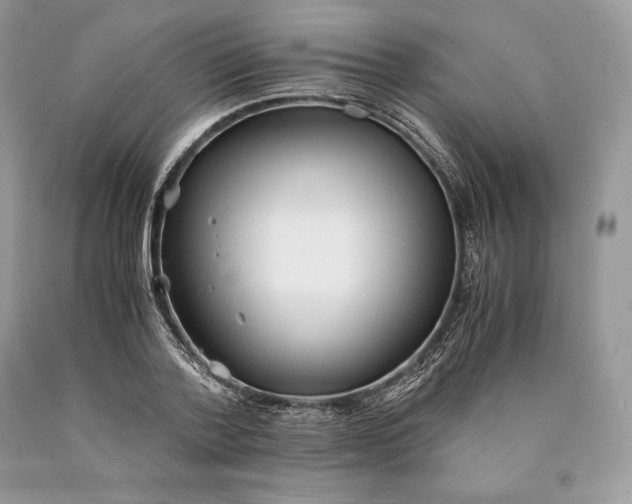 X0000089930788200707201839