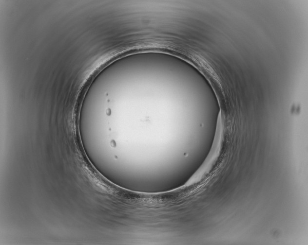 X0000089930789200707201839