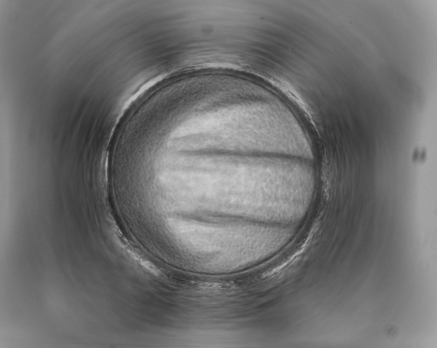 X0000089930790200707201839