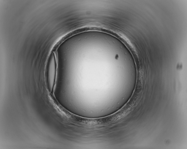 X0000089930791200707201839