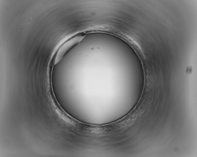 X0000089930792200707201839