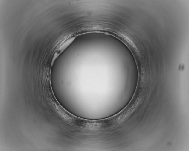 X0000089930793200707201839