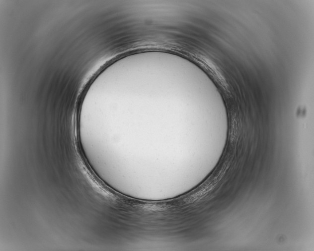 X0000089930796200707201839