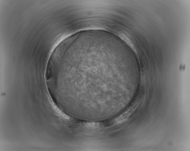 X0000089930797200707201839