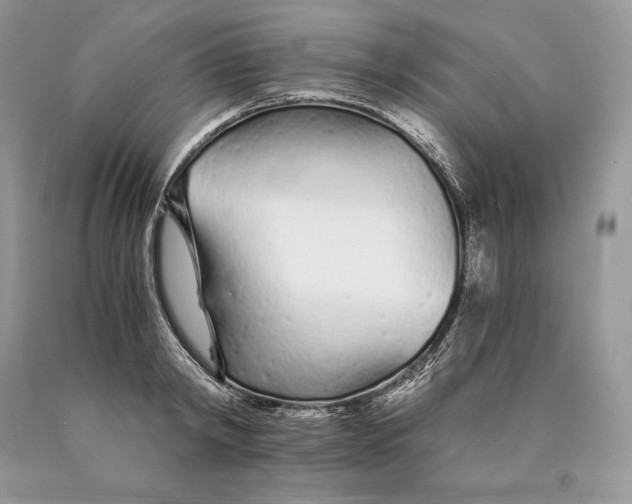 X0000089930798200707201839