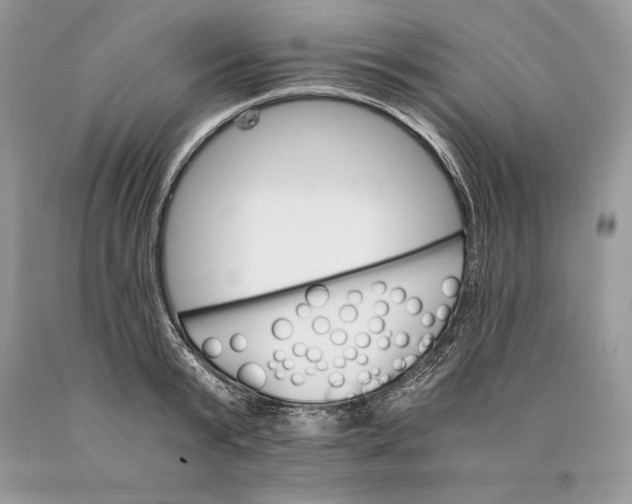 X0000089930799200707201839