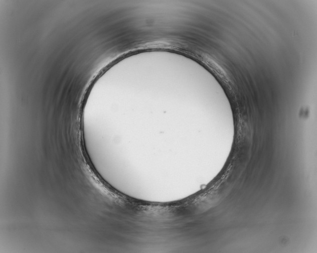 X0000089930800200707201839