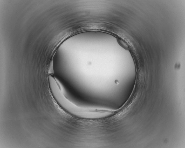 X0000089930801200707201839