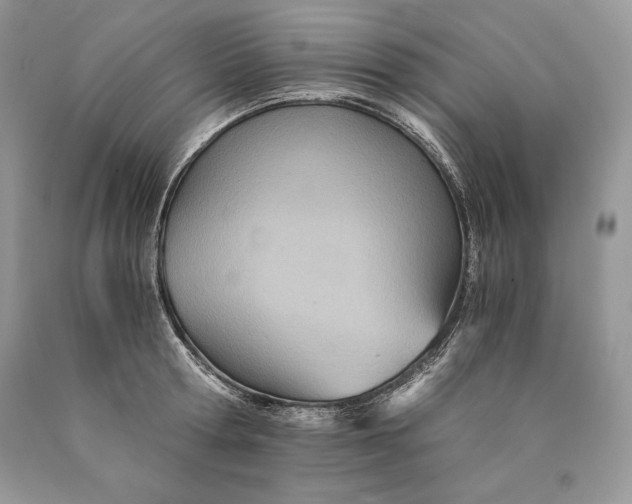 X0000089930802200707201839