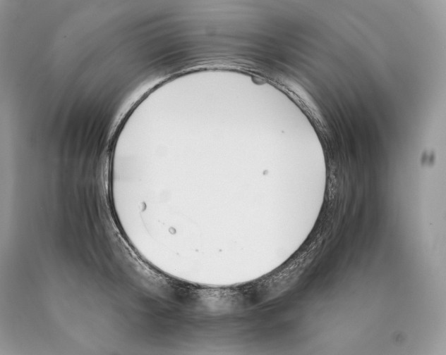 X0000089930804200707201839