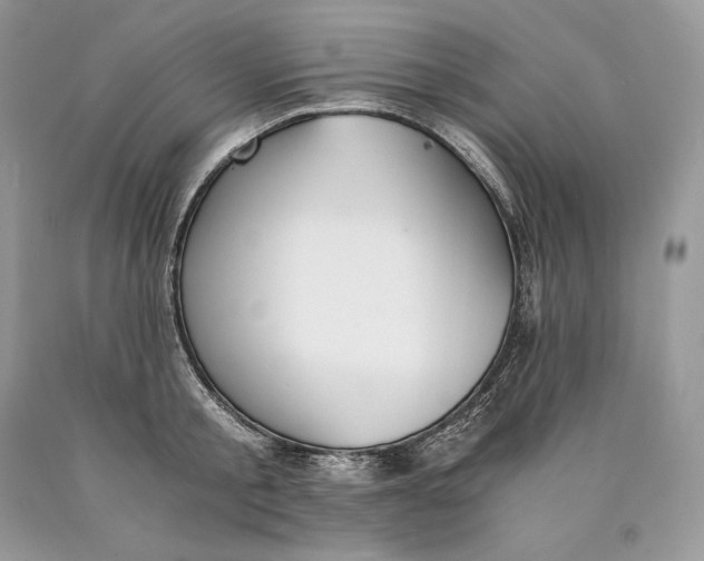 X0000089930805200707201839