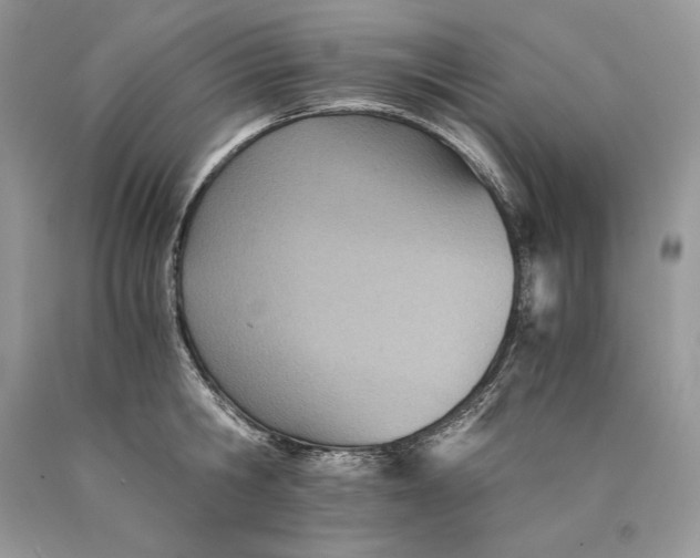 X0000089930806200707201839