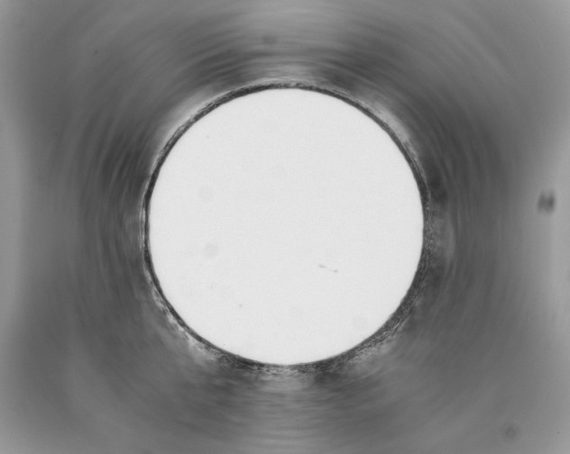 X0000089930807200707201839