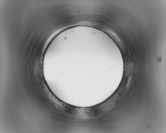 X0000089930808200707201839