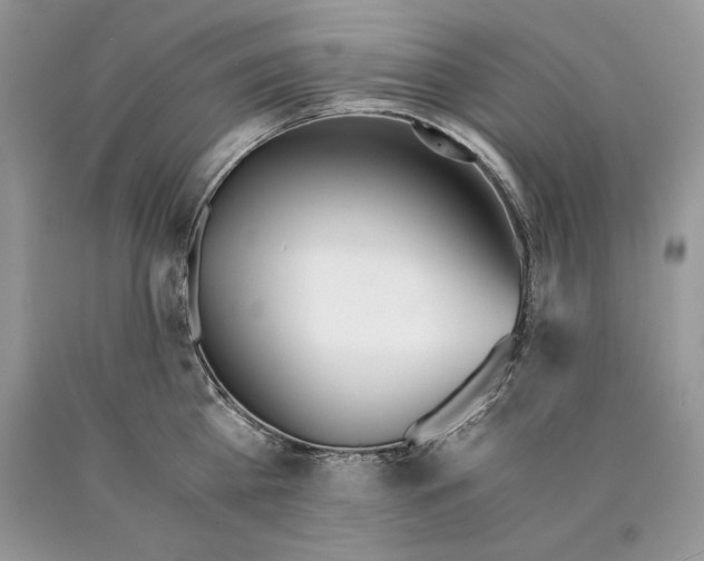 X0000089930809200707201839