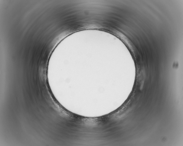 X0000089930810200707201839