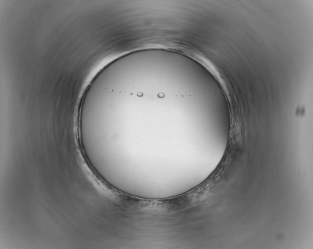 X0000089930811200707201839