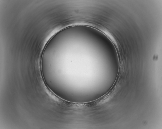 X0000089930813200707201839