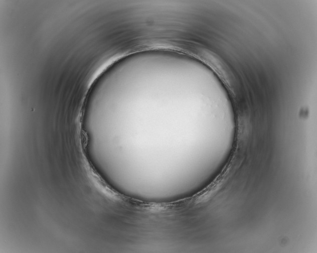 X0000089930814200707201839