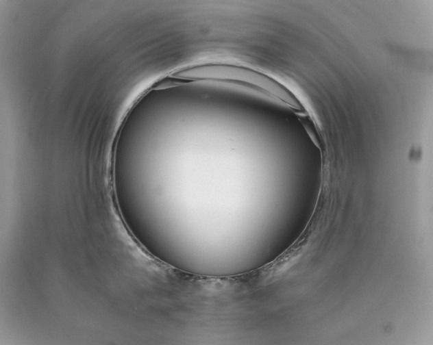 X0000089930815200707201839