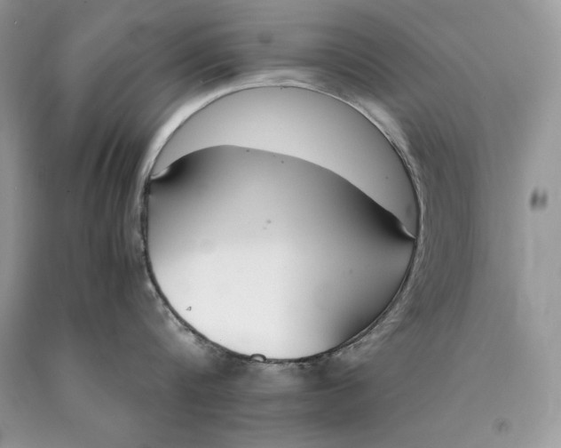 X0000089930816200707201839