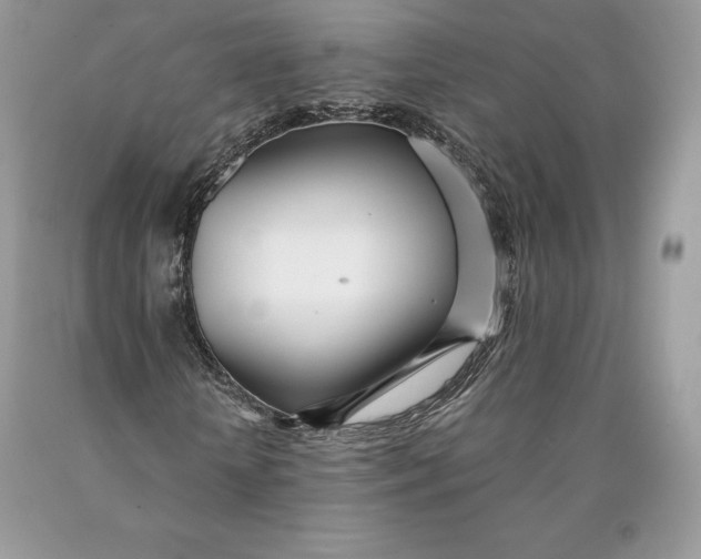 X0000089930818200707201838