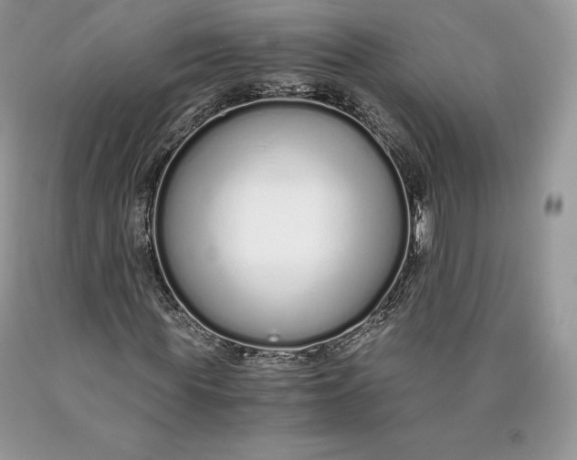 X0000089930819200707201838