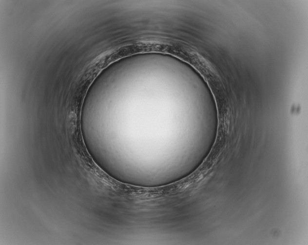 X0000089930821200707201838