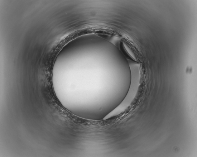 X0000089930822200707201838