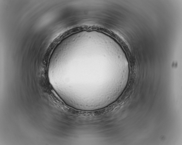 X0000089930823200707201838