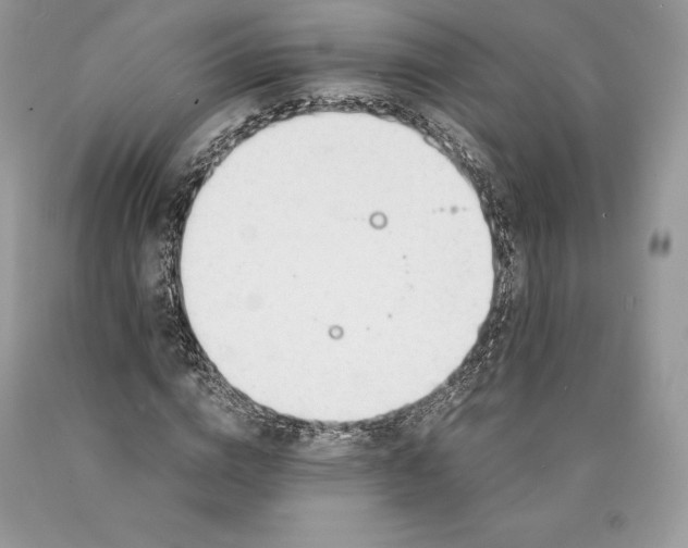 X0000089930824200707201838