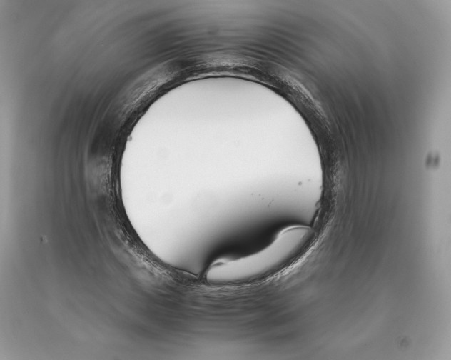 X0000089930825200707201838