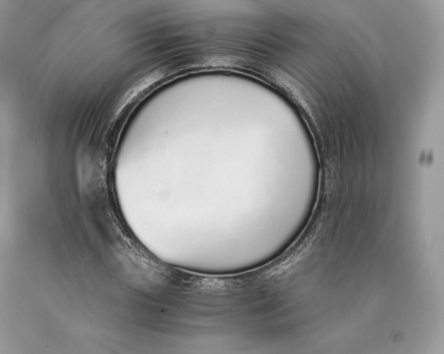 X0000089930827200707201838