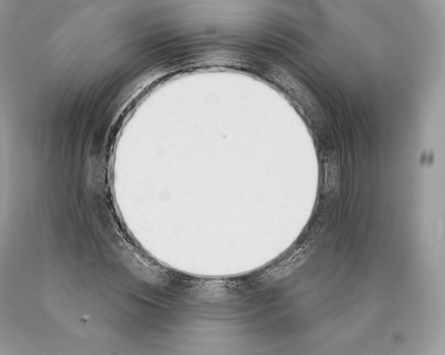 X0000089930828200707201838