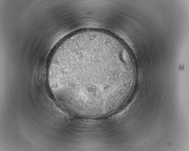 X0000089930829200707201838