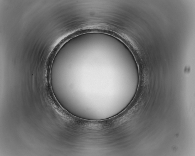 X0000089930830200707201838